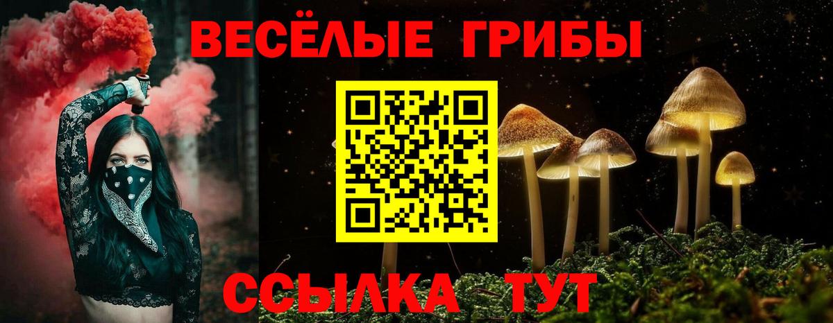 Галлюциногенные грибы ЛСД  Вход с VPN  Дмитров 